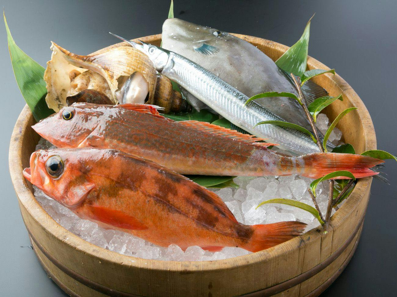 Popular Open-Air Bath Rooms and Seasonal Delicacies of Toyama, Unazuki Onsen Sunyanagi-tei