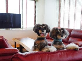 ＡＳＯＶＩＬＵＸ