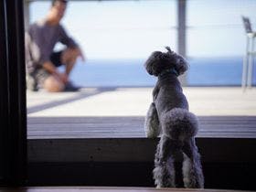 ＡＳＯＶＩＬＵＸ