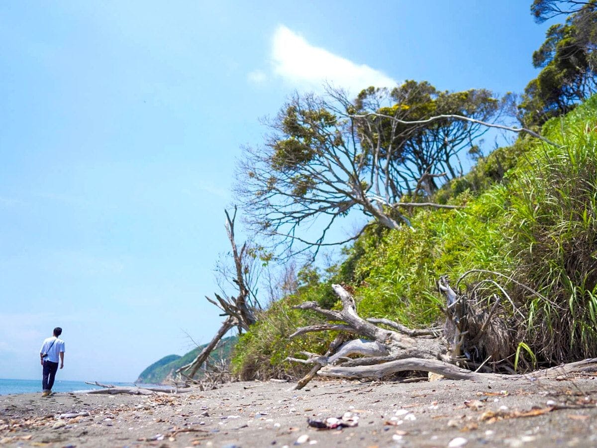풍경 및 주변 환경