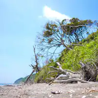 풍경 및 주변 환경