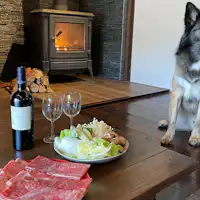 คุณสามารถเข้าพักพร้อมกับสัตว์เลี้ยงที่คุณรักได้