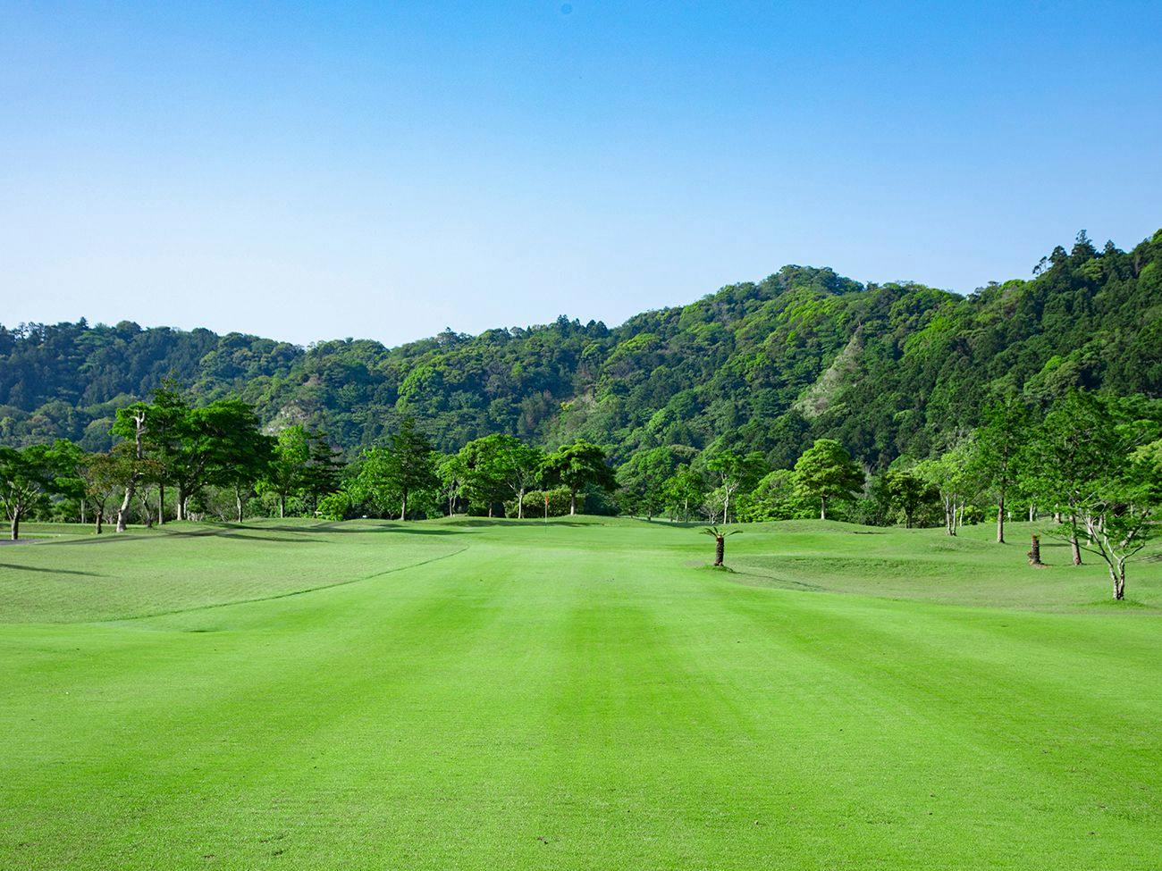 Kamogawa Country Hotel