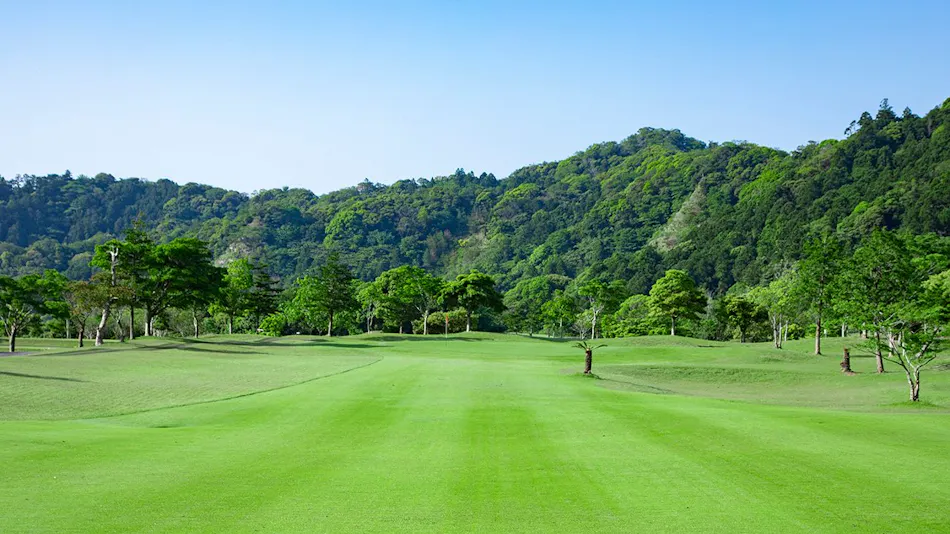 Kamogawa Country Hotel