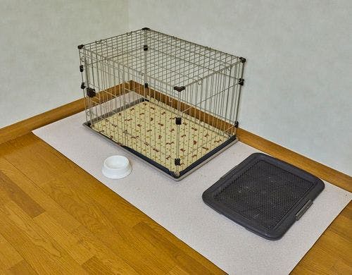 ペット
