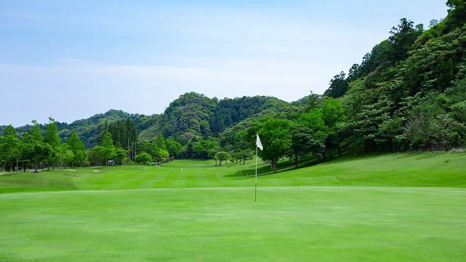 Kamogawa Country Hotel