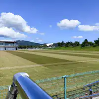 Enagic Stadium Nago