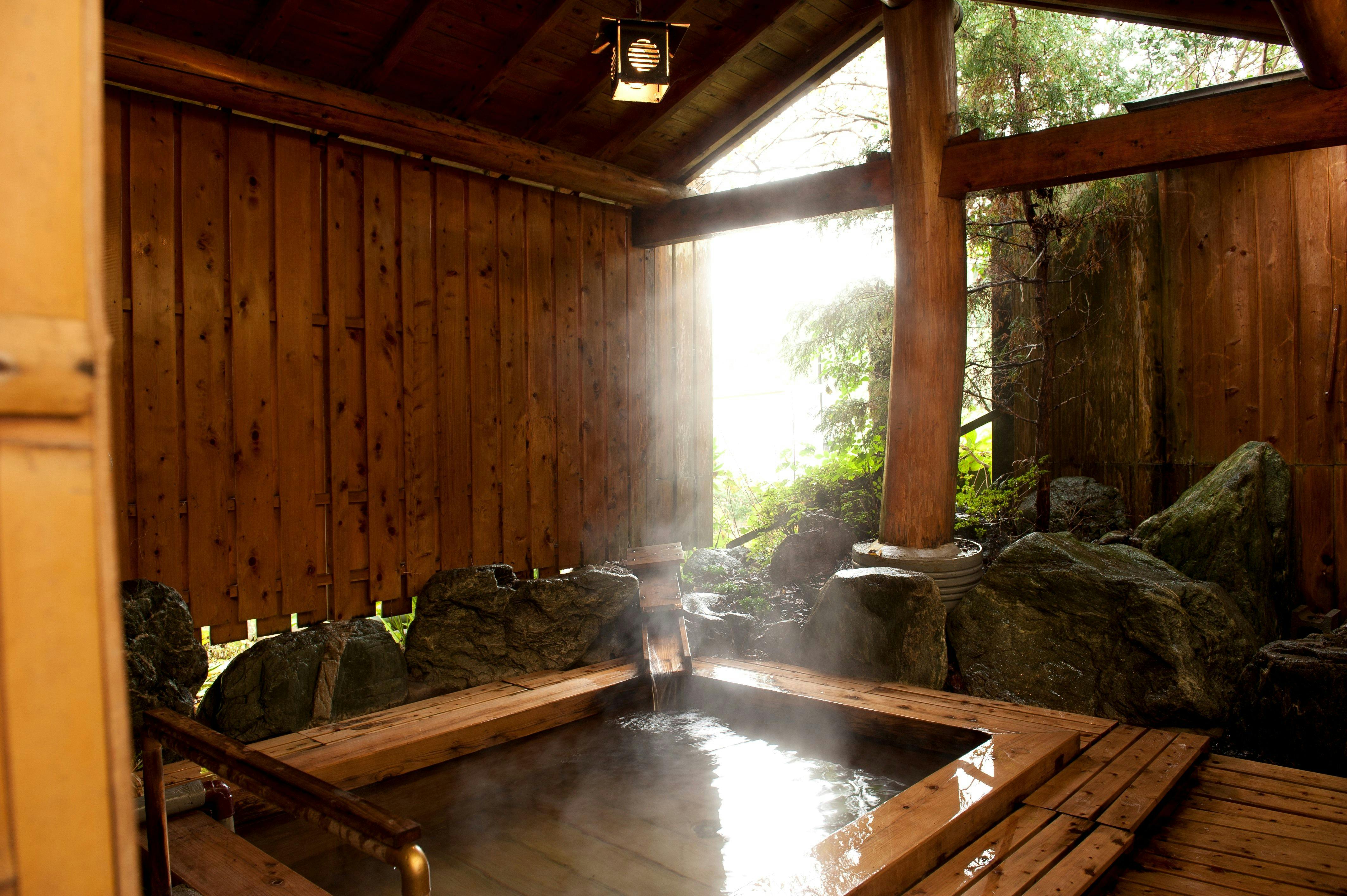 Sawaotsu Onsen Uchimi Ryokan