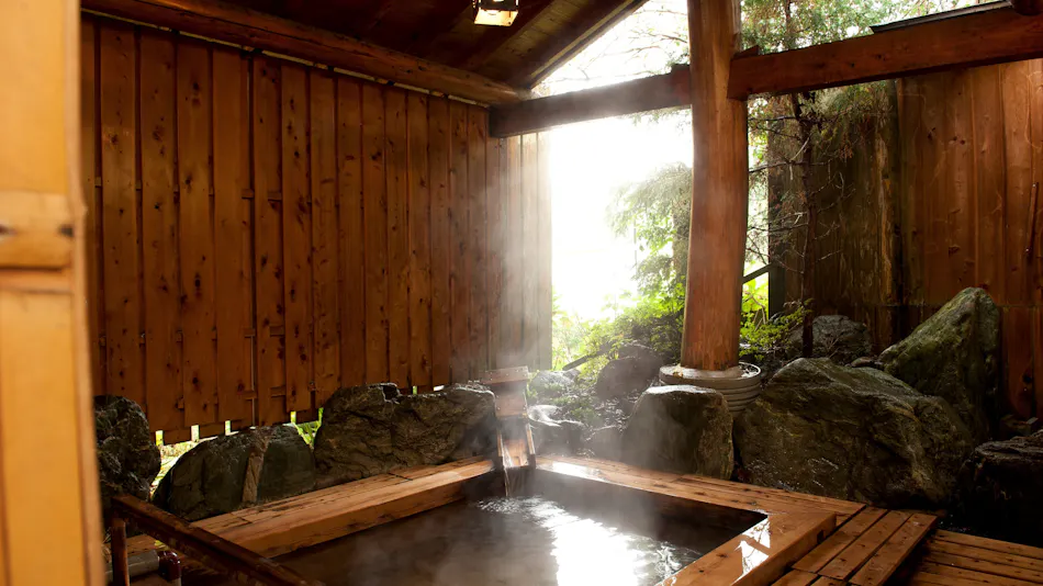 Sawaotsu Onsen Uchimi Ryokan