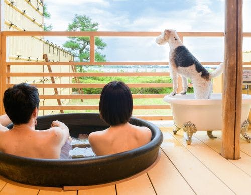 スーペリア数寄屋造り露天風呂付離れ　2201
