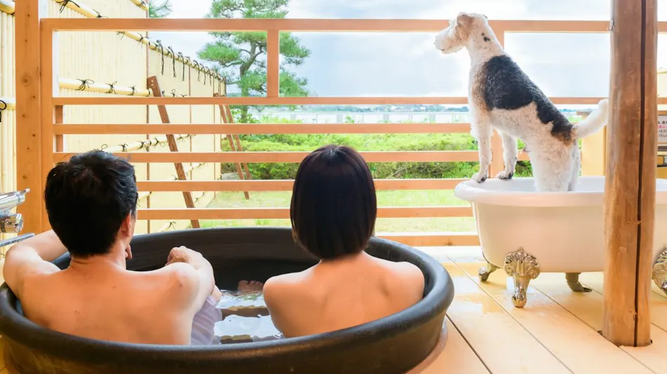 Ooedo Onsen Monogatari Wanwan Resort Yataya Shotoen