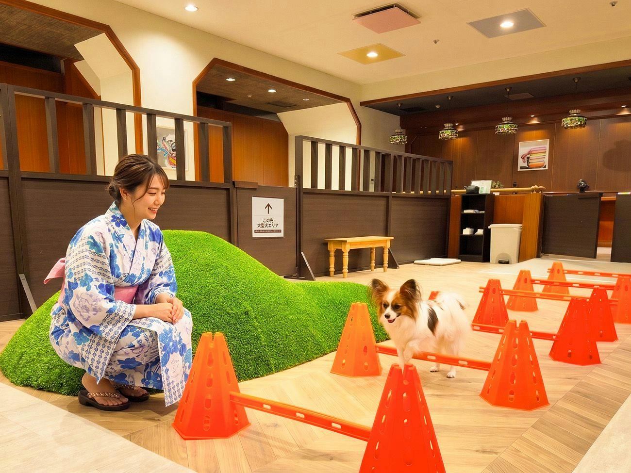 Ooedo Onsen Monogatari Wanwan Resort Yataya Shotoen