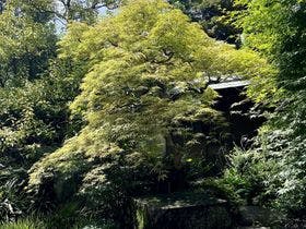 新宿サンパークホテル