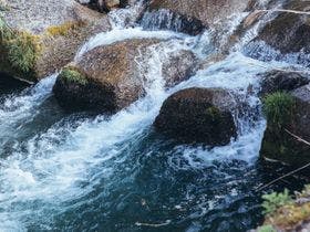 ＬＡ　ＴＥＲＲＡ