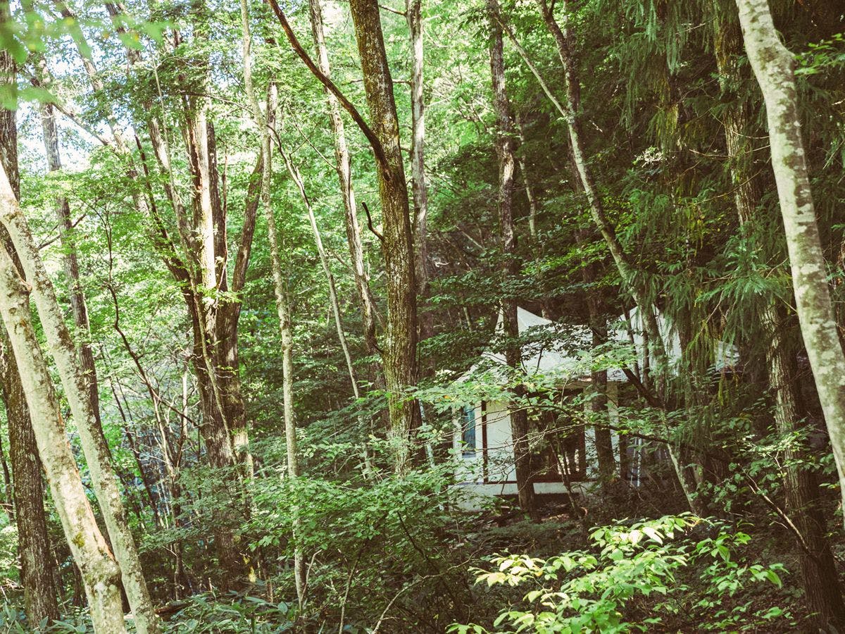 La Terra Resort