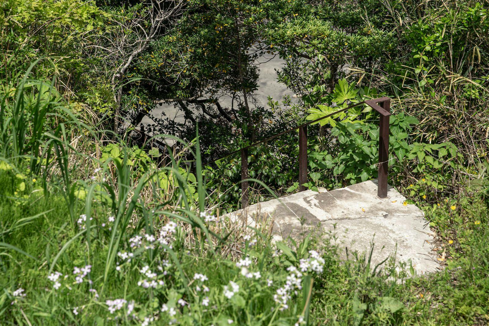 Lost Cabin
