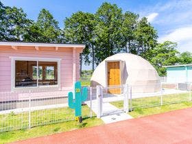 ＴＡＣＯ　ＧＬＡＭＰ