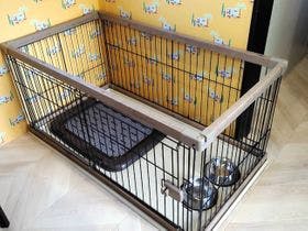 ＴＡＣＯ　ＧＬＡＭＰ