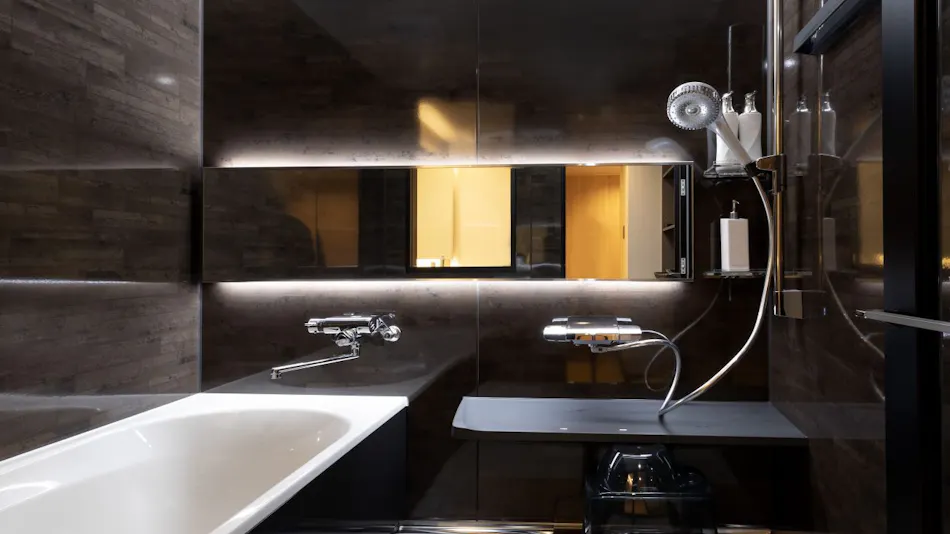 Shin-Iya Onsen Hotel Kazurabashi