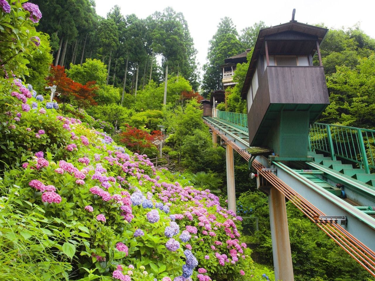 Shin-Iya Onsen Hotel Kazurabashi
