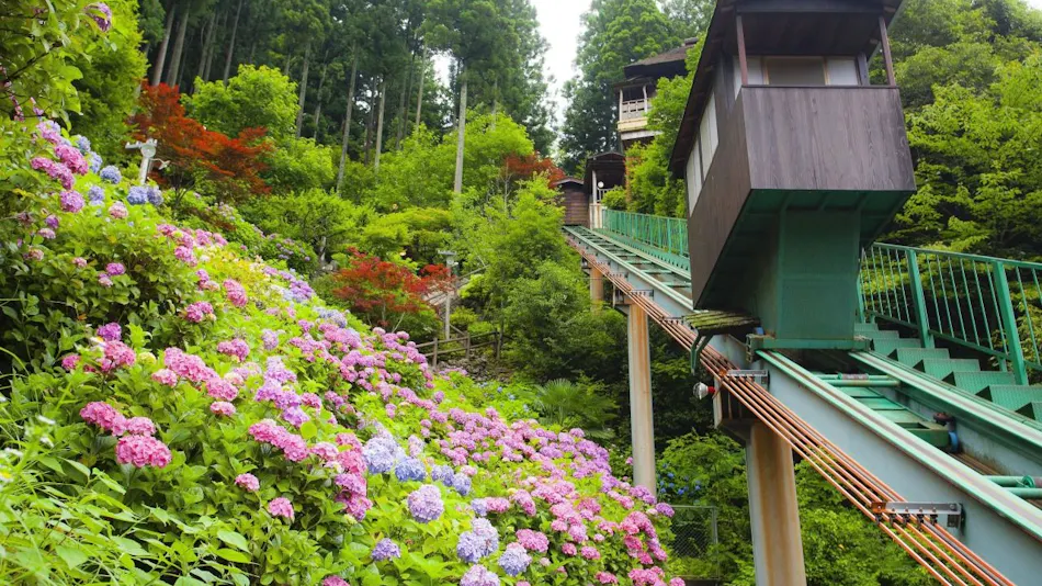Shin-Iya Onsen Hotel Kazurabashi
