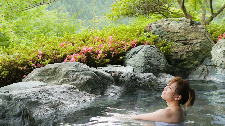 Shin-Iya Onsen Hotel Kazurabashi