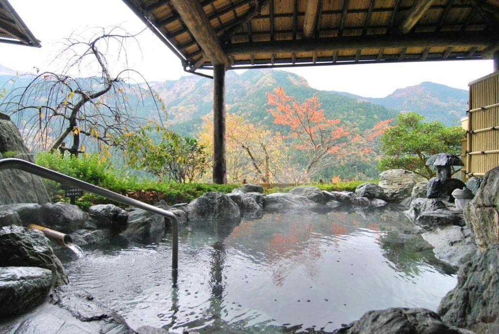 Shin-Iya Onsen Hotel Kazurabashi