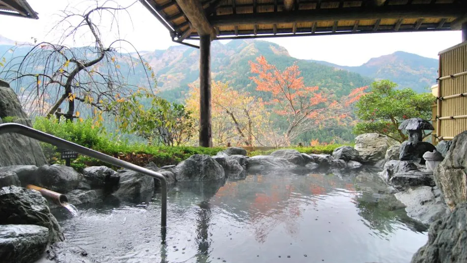 Shin-Iya Onsen Hotel Kazurabashi