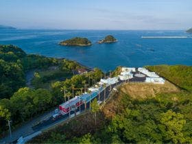 ＧＲＡＮＨＩＬＬＳ　ＹＡＳＨＩ