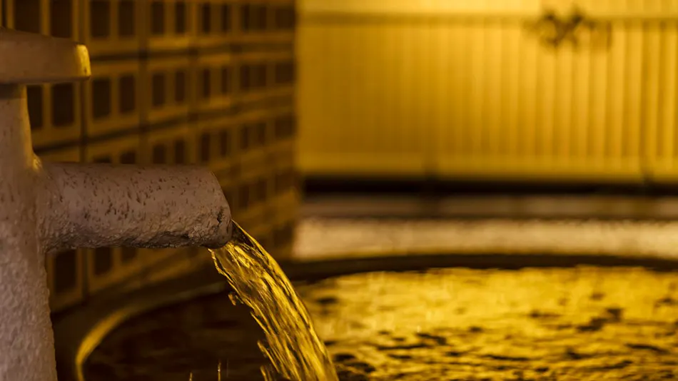 Jintsukyo Kasuga Onsen Tominowa