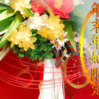 แผนพิเศษสำหรับสิ้นปีและปีใหม่