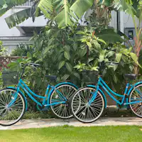 2 sepeda untuk disewakan