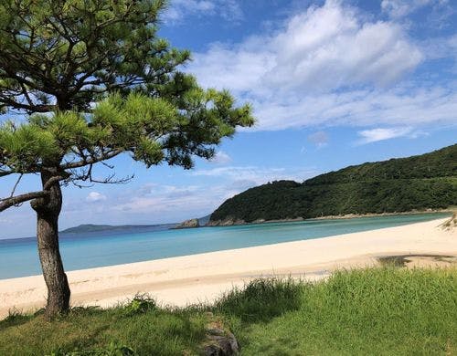 日本渚１００撰の高浜ビーチ。