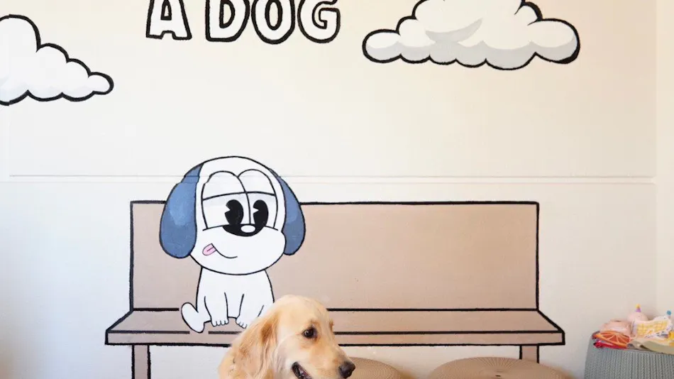 Doggies Izu Jogasaki