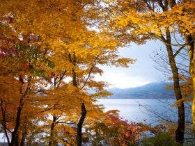 富士山中湖ホテル