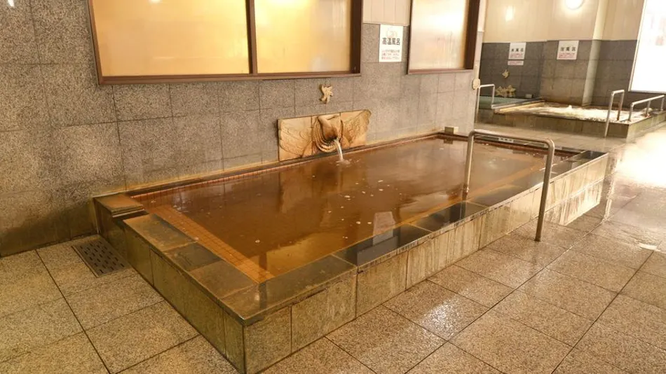 Natural Hot Spring Hotel Hounomai Otofuke