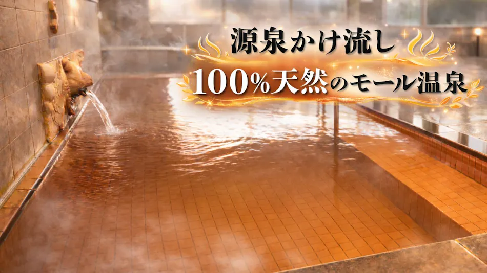 Natural Hot Spring Hotel Hounomai Otofuke