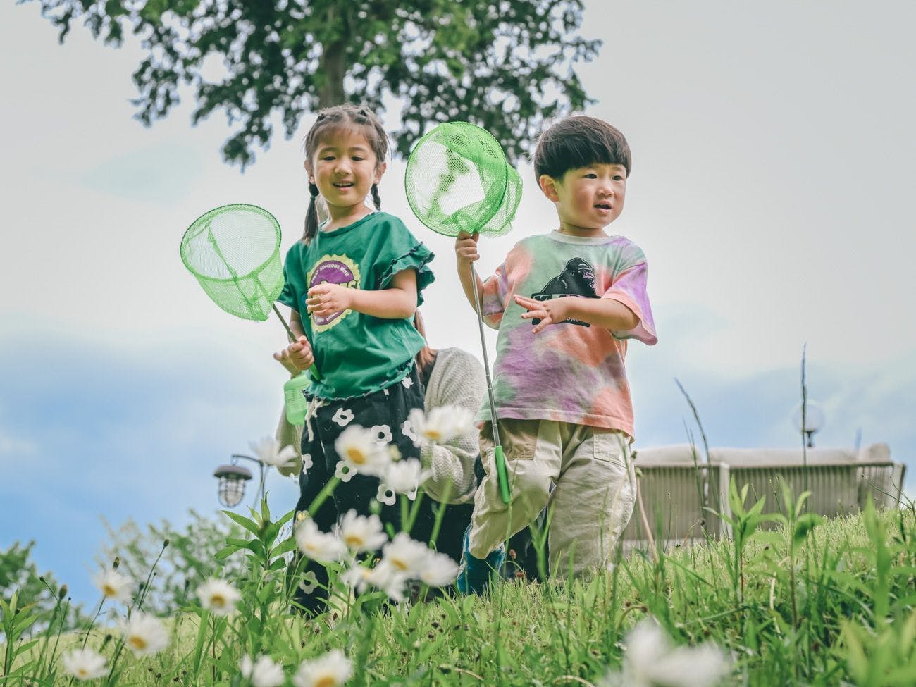 ฤดูร้อนเท่านั้น! แถมฟรีตาข่ายจับแมลง (สิทธิพิเศษแผน)