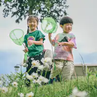 Musim Panas Saja! Hadiah Jaring Serangga (Keuntungan Rencana)