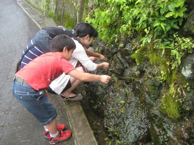Experiential Traditional Japanese House Inn Kajika Club