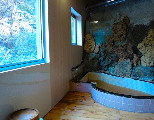 1階 温泉岩風呂付客室「星尾川」10畳の洋室