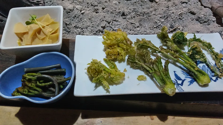 Experiential Traditional Japanese House Inn Kajika Club