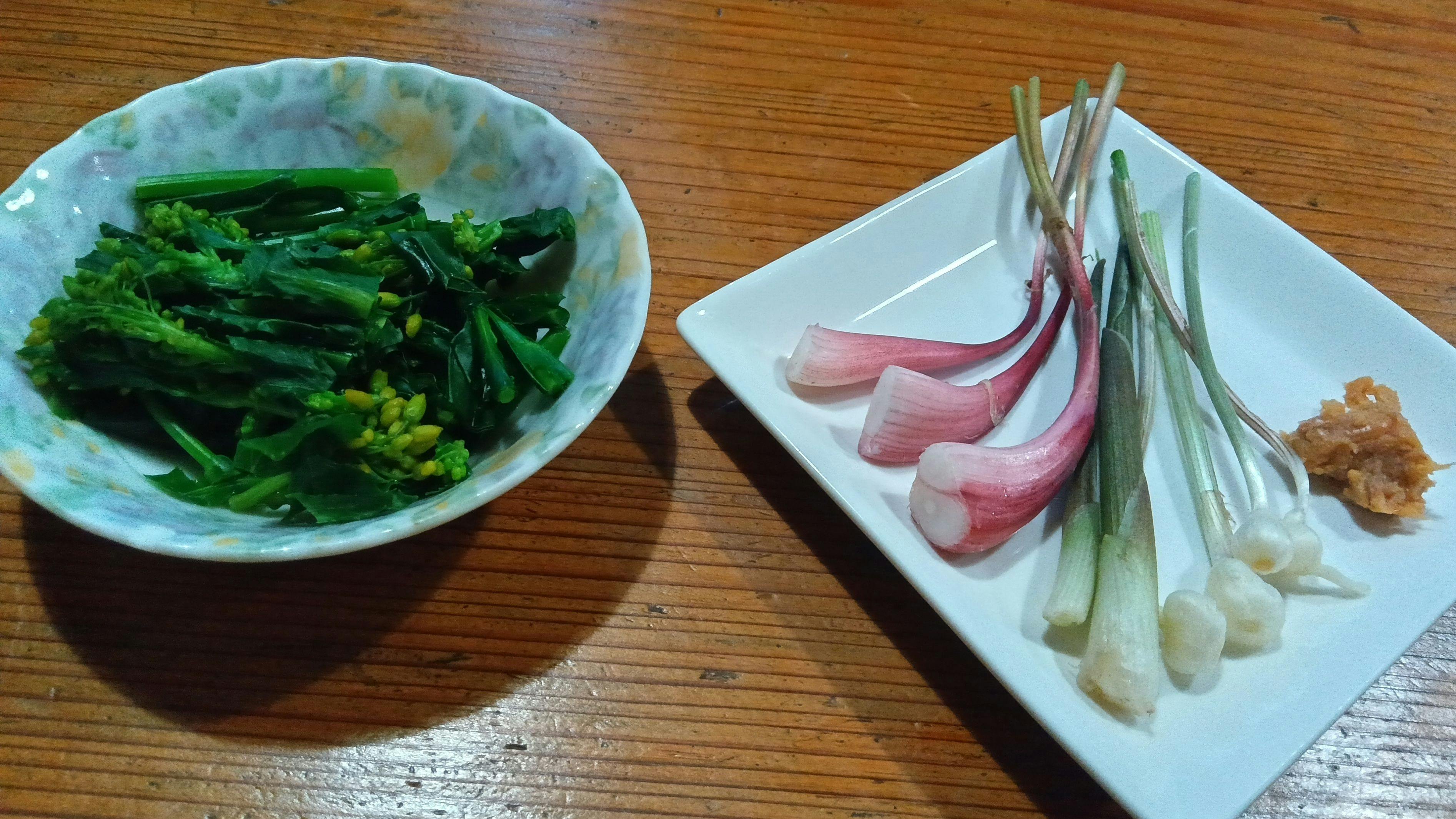 Experiential Traditional Japanese House Inn Kajika Club