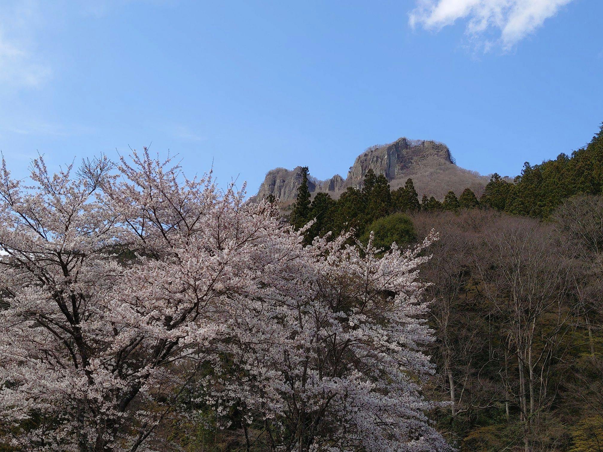 Experiential Traditional Japanese House Inn Kajika Club