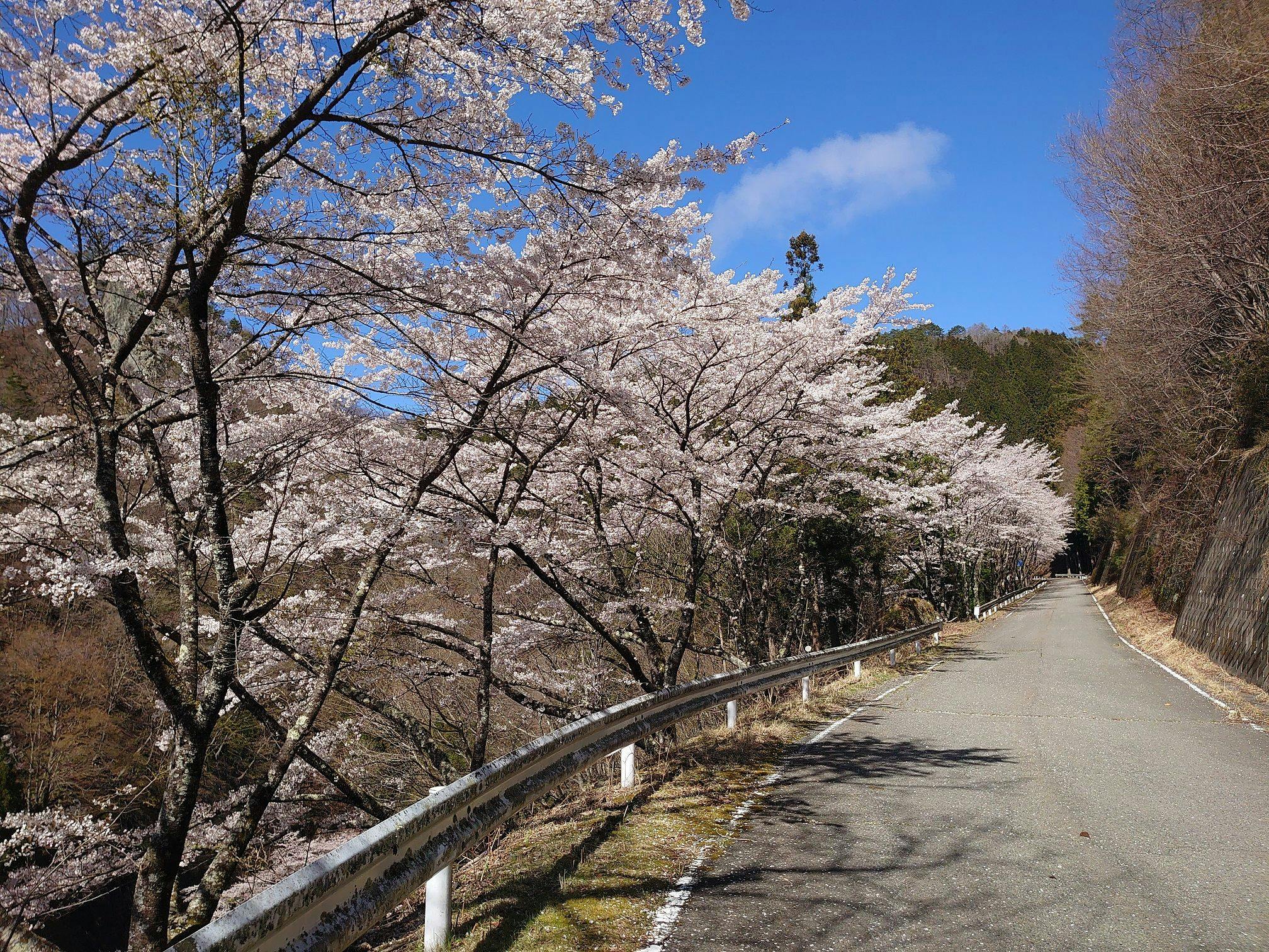 Experiential Traditional Japanese House Inn Kajika Club