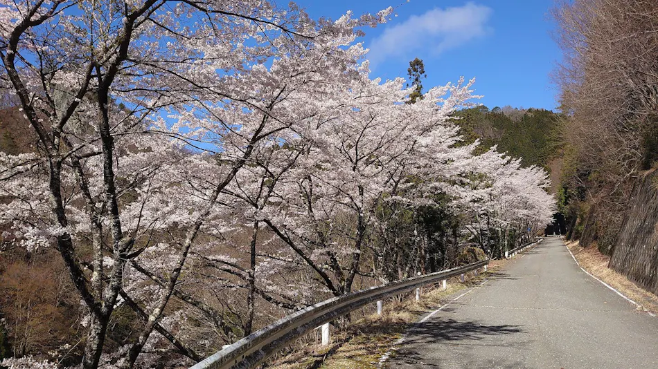 Experiential Traditional Japanese House Inn Kajika Club