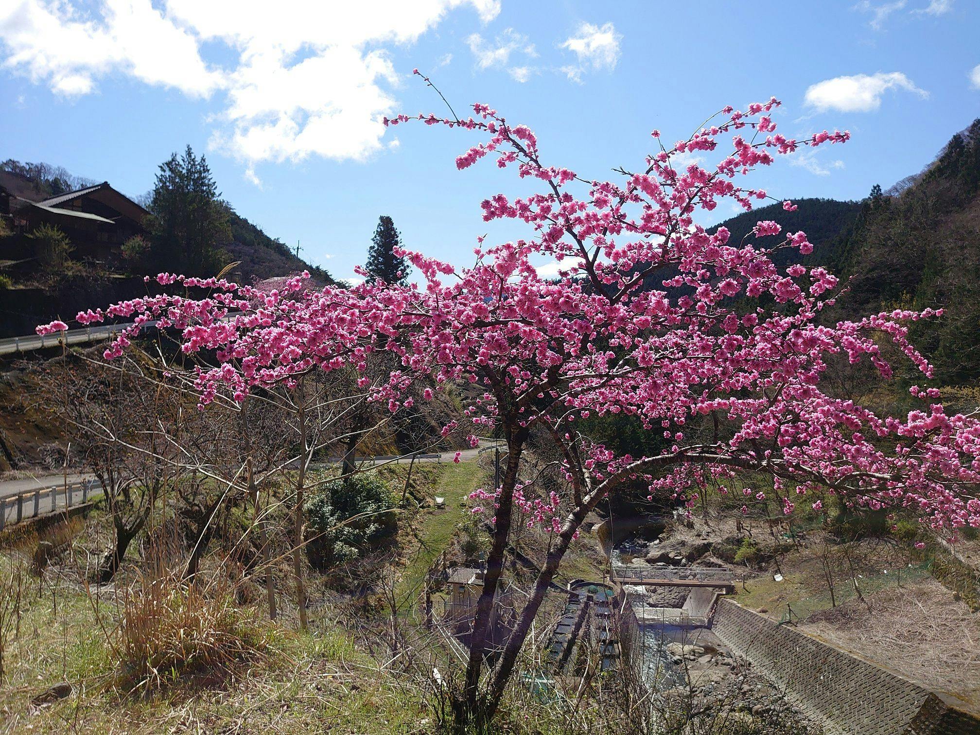 Experiential Traditional Japanese House Inn Kajika Club