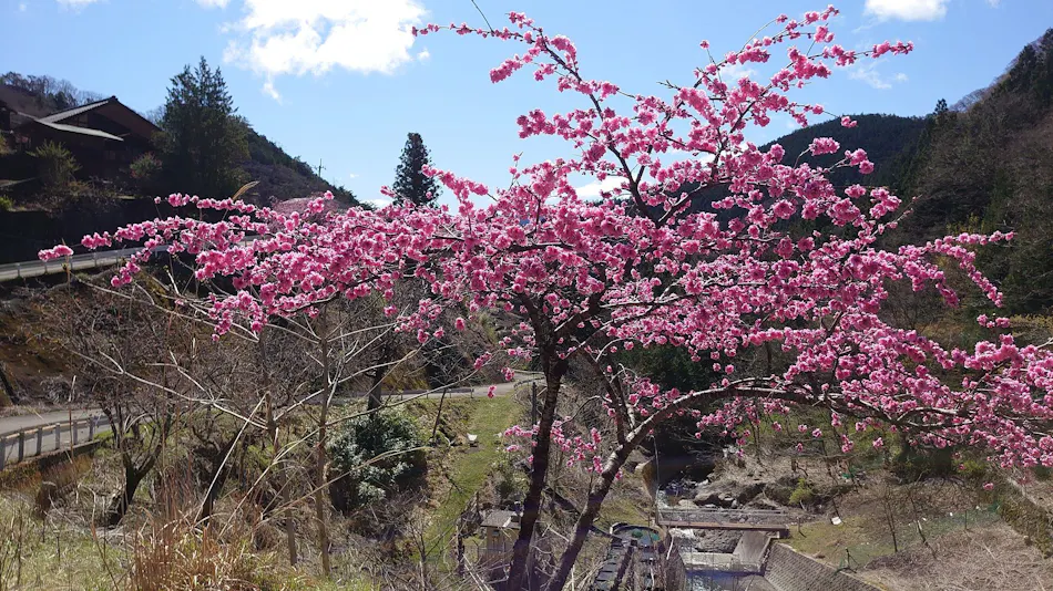 Experiential Traditional Japanese House Inn Kajika Club