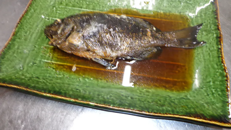 Minshuku Sangenya