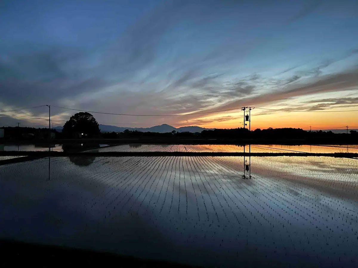 Hanare Rokutsuki / Rokutsuki Farm